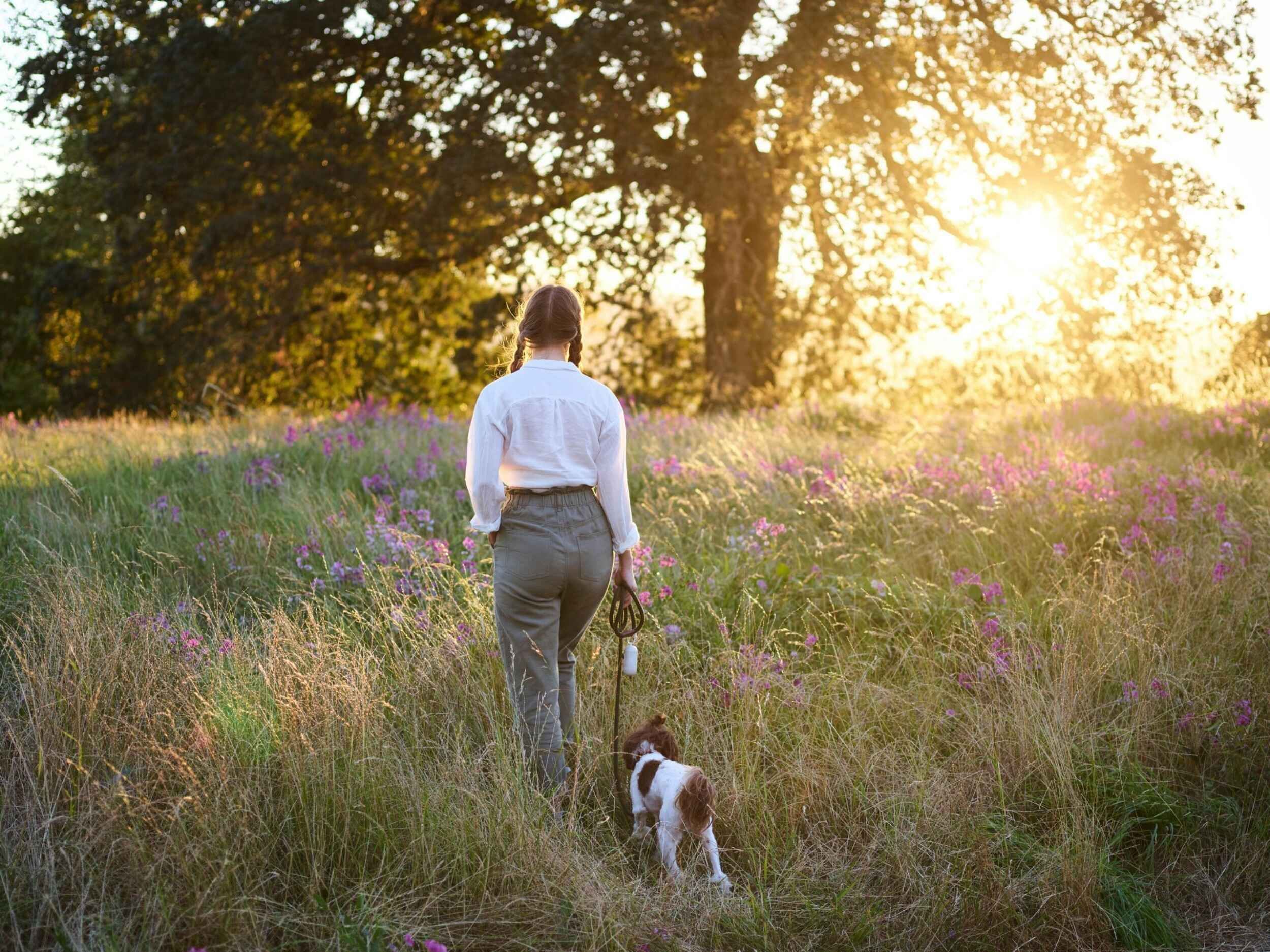 Explore